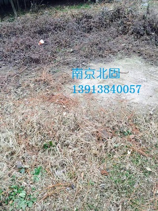 淤泥固化后
