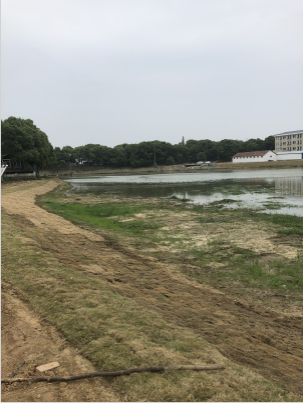 湖北某人工湖环境治理项目